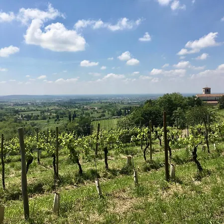 Nice In The Hearth Of Friuli